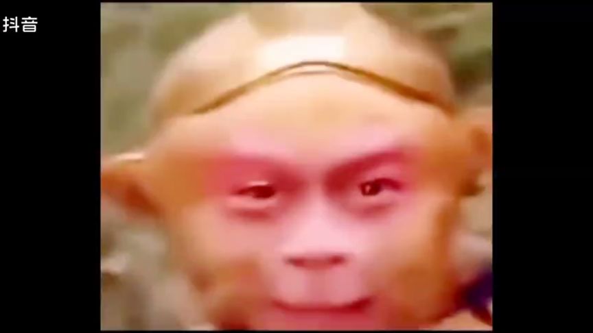 电报猴原版消音的简单介绍