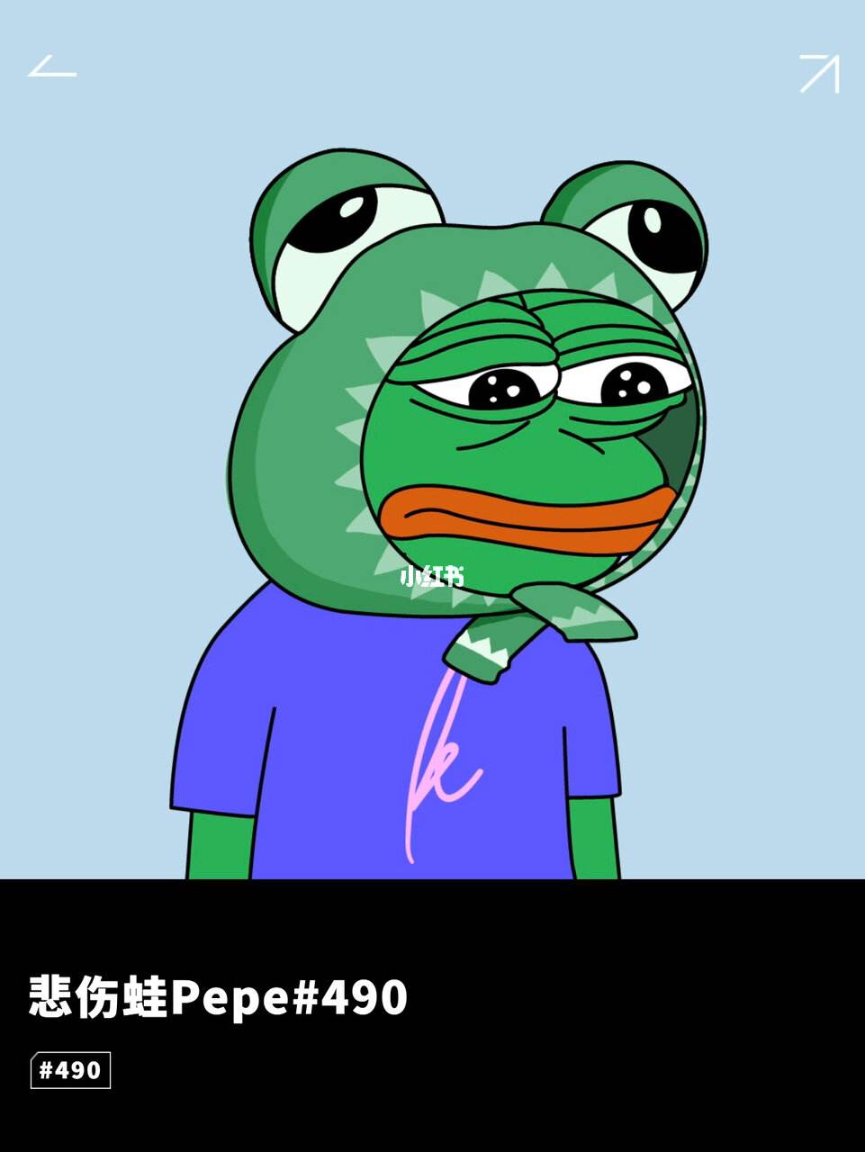 pepe_pepe币