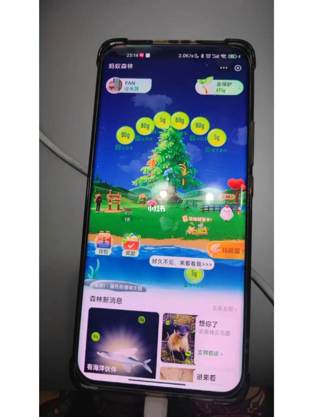 外网软件加速器蚂蚁_外网软件加速器 蚂蚁