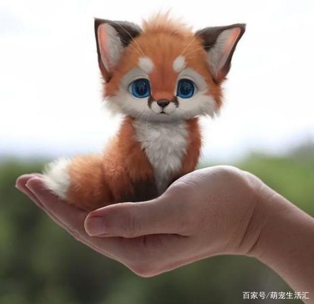 小狐狸歌词_小狐狸歌词完整版