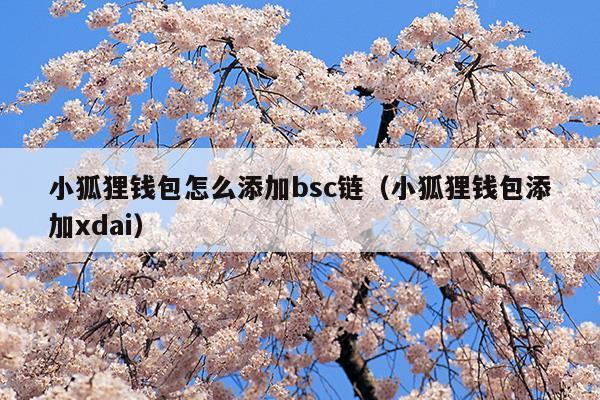 小狐狸钱包怎么使用bsc测试网络_小狐狸钱包怎么使用bsc测试网络连接