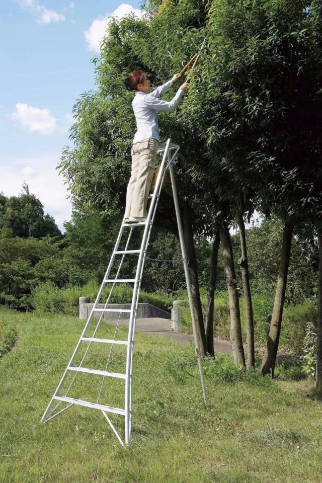 手机梯子应用_手机上梯子软件