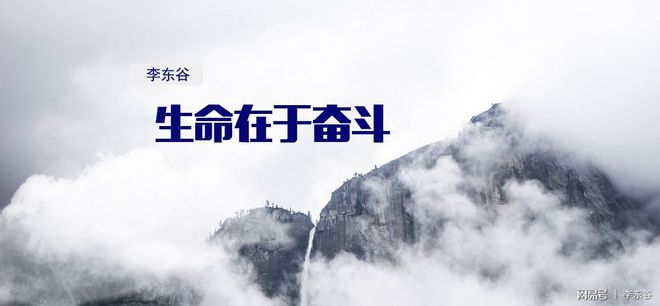 imtoken钱包下载官网_imtoken官网下载安装钱包