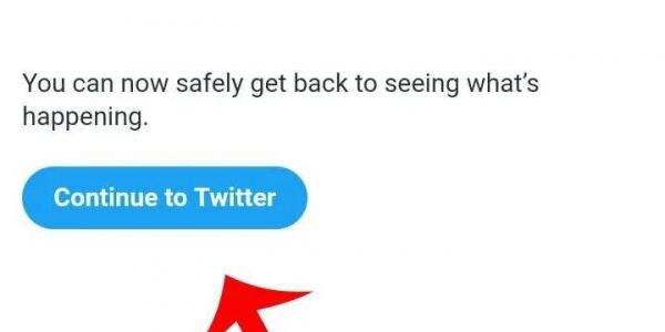 手机加速器上外网怎么上推特_怎么用加速器上twitter