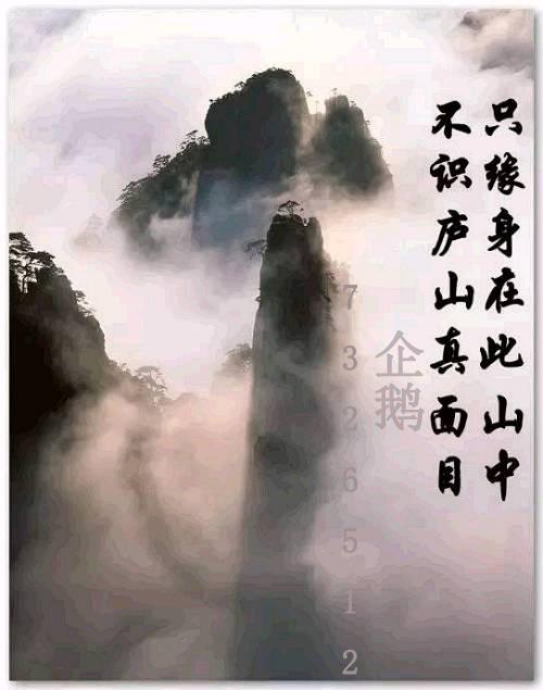 什么是手机梯子功能_什么是手机梯子功能设置