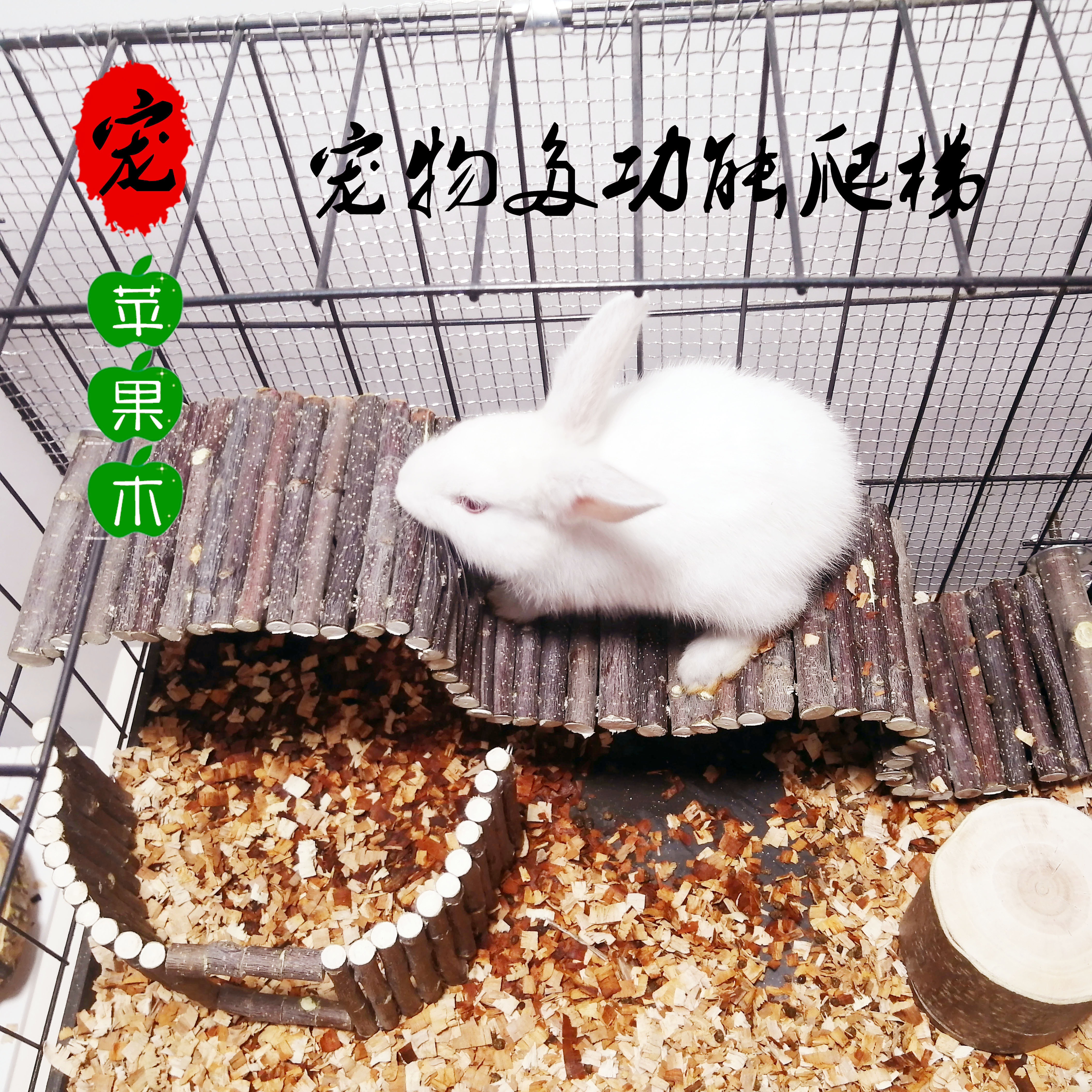 iphone的梯子_iphone梯子软件 知乎
