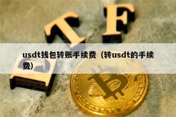 usdt钱包号是什么意思_usdt钱包中文版官方下载