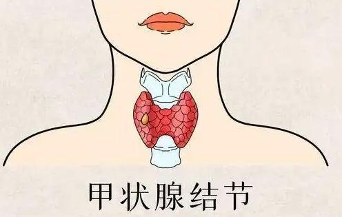 夏时国际加速器_夏时国际加速器苹果下载官网