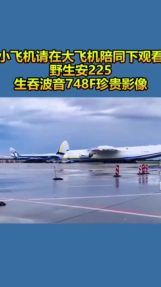 播放飞机在哪里_播放飞机的图片环境