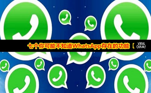 whatsapp怎么加好友安卓_whatsapp安卓版怎么加好友
