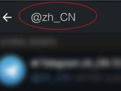 飞机ios怎么设置中文_苹果飞机聊天软件怎么设置中文