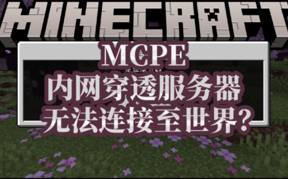 在手机上搭建我的世界服务器_怎么搭建我的世界手机版服务器