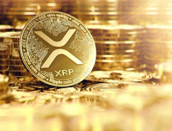 玩虚拟币的都是什么人_2024年即将出现的百倍币
