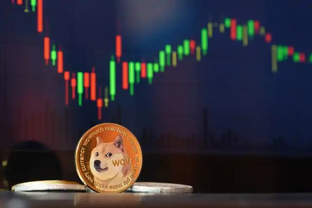 狗狗币_3年前买了5000狗狗币现在多少了