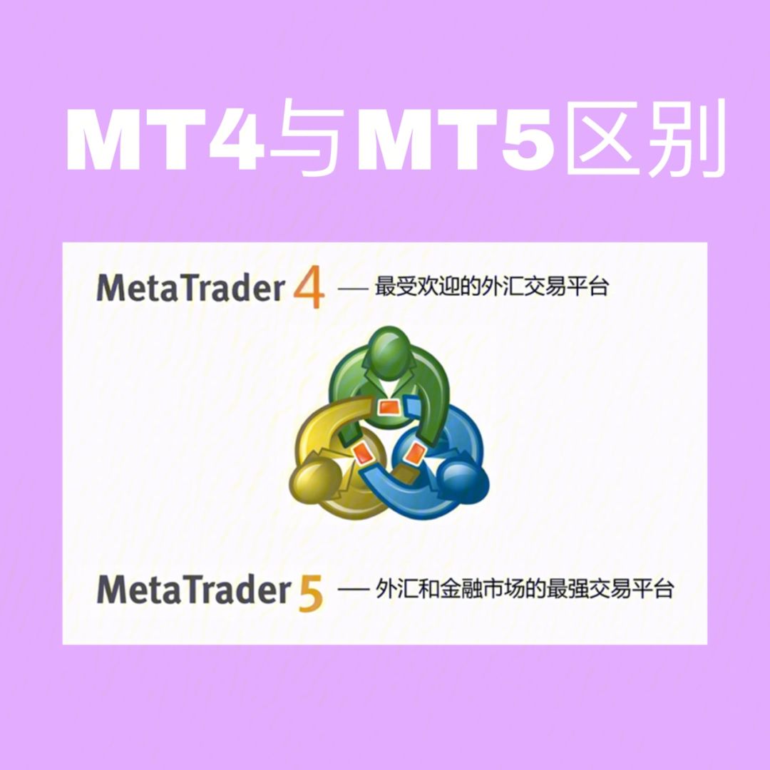mt5交易平台官网_mt5平台交易商推荐