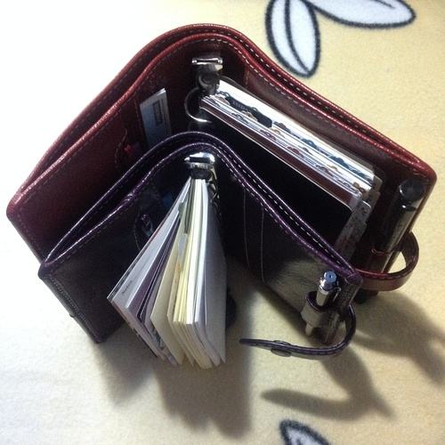 POC钱包下载_poc钱包下载手机版