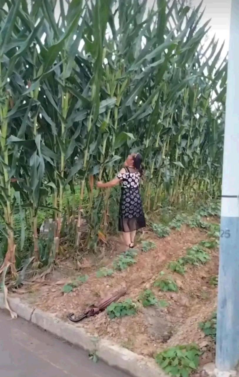 手机好用的梯子_手机好用的梯子加速器