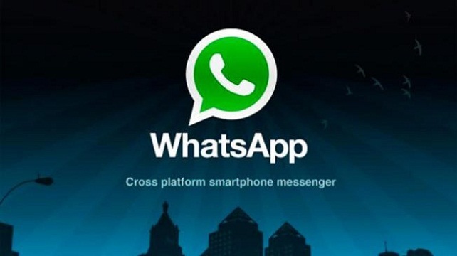 包含whatsapp/dl的词条