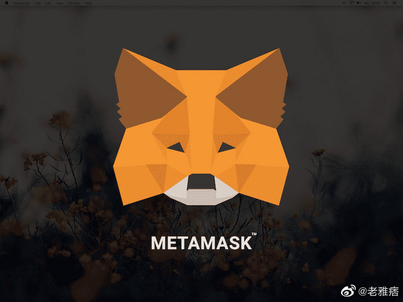 包含metamask.io小狐狸下载链接的词条