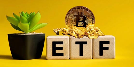 比特币期货etf_比特币期货etf代码