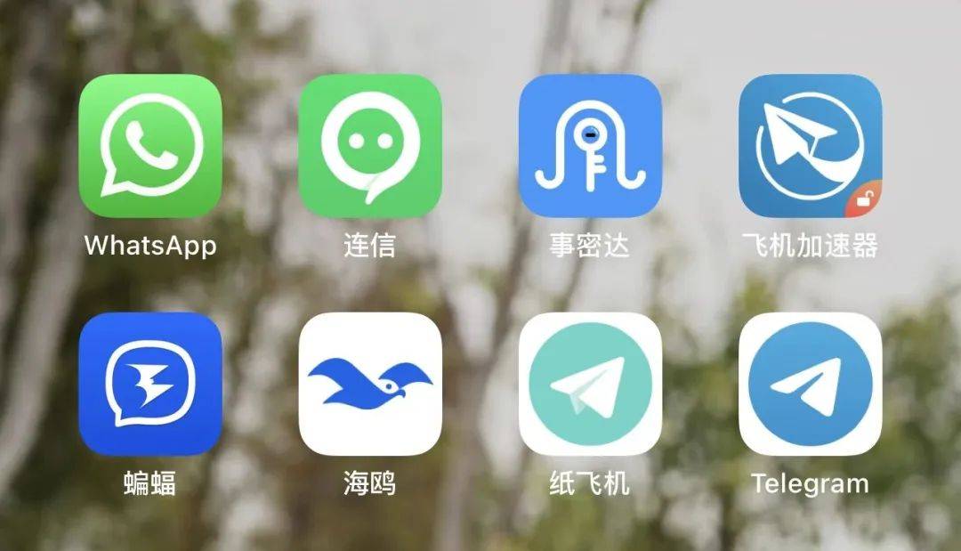 纸飞机国外聊天软件怎么安装_国外的纸飞机软件怎么设置中文