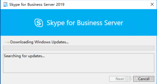 skype中文什么意思_skype中文是什么意思