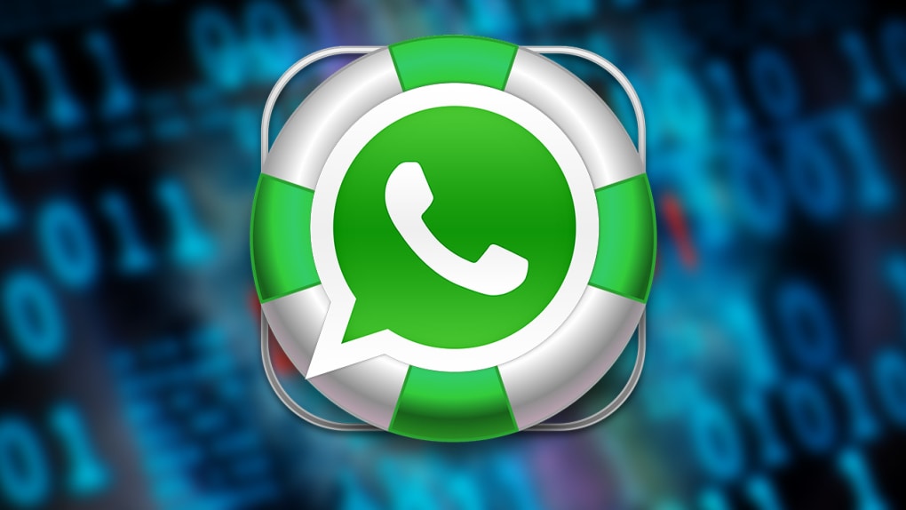 包含whatsappfownload的词条