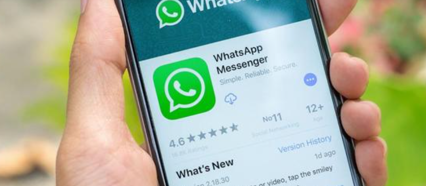 whatsapp下载最新_whatsapp2020下载