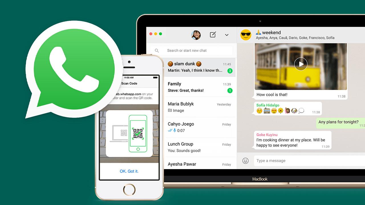 whatsapp安卓如何添加好友_安卓手机whatsapp怎么添加好友