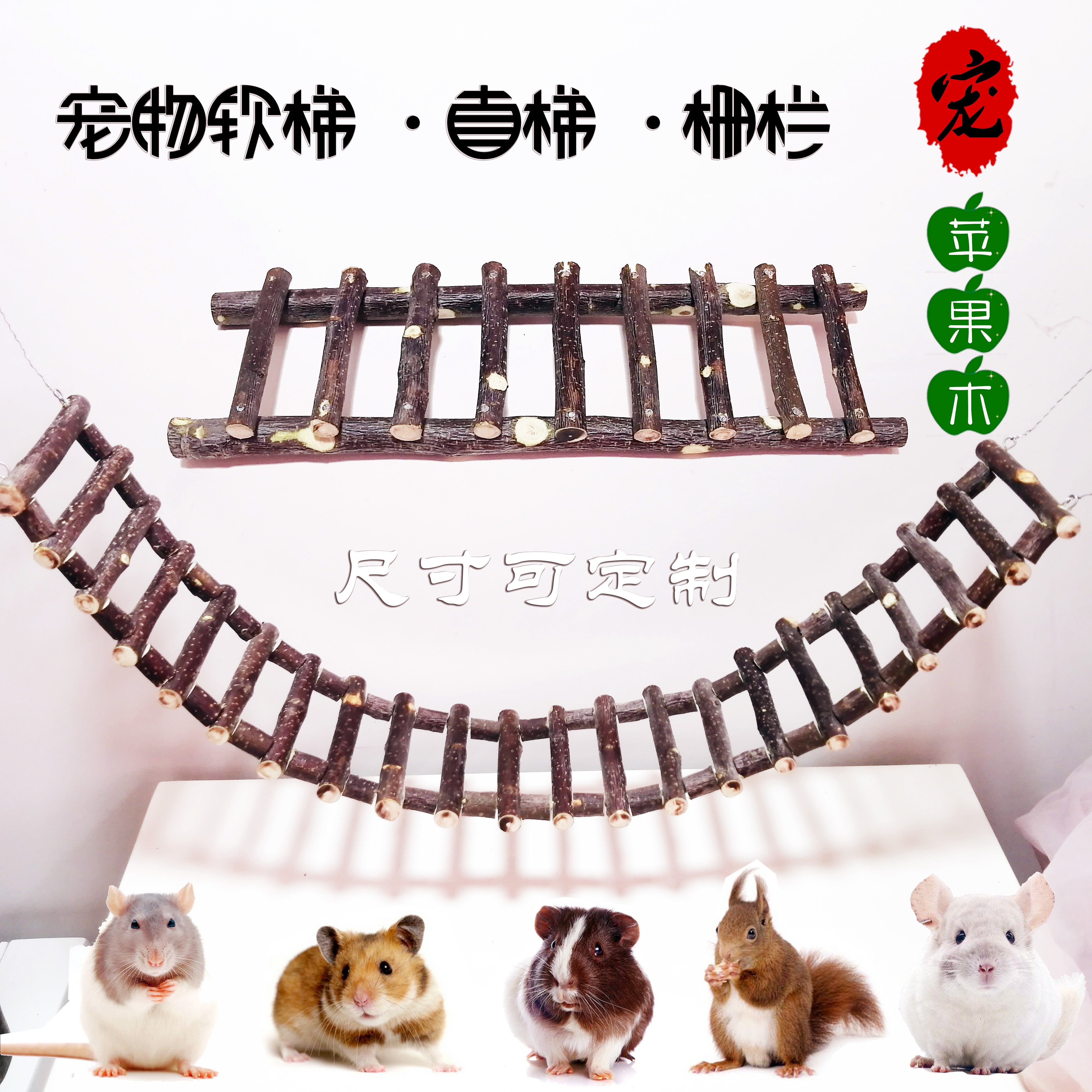 iPhone梯子推荐_iphone上好用的梯子