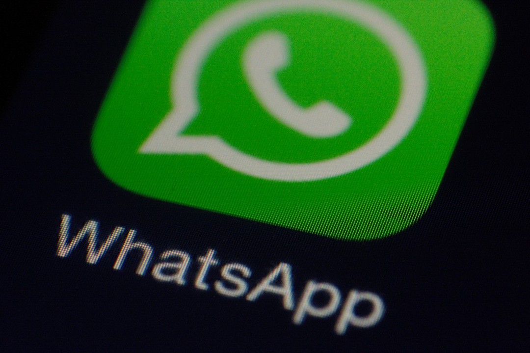 whatsapp网站-whatsappweb