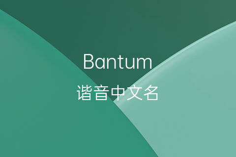 英文音译中文-英文音译中文生成器