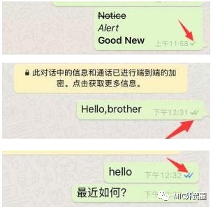 whatsapp上如何添加好友-whatsapp怎么直接添加好友