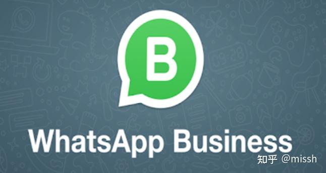 免费下载whatsappbusiness-免费下载whatsapp business
