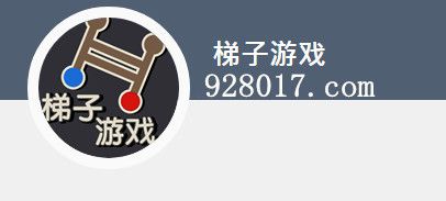手机如何外网挂梯子游戏-手机如何外网挂梯子游戏玩