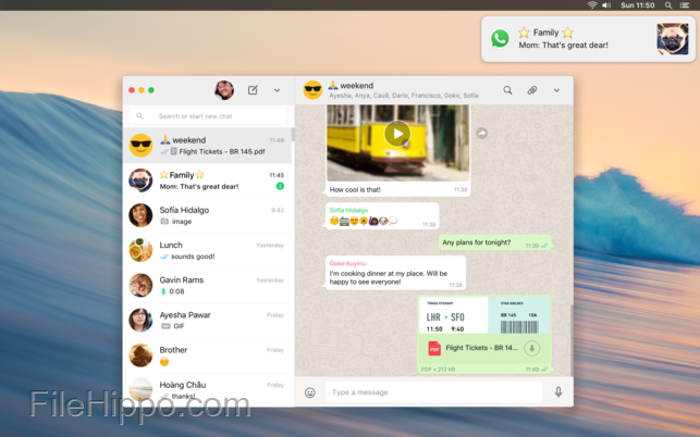包含whatsapp与whatsappmessenger的词条