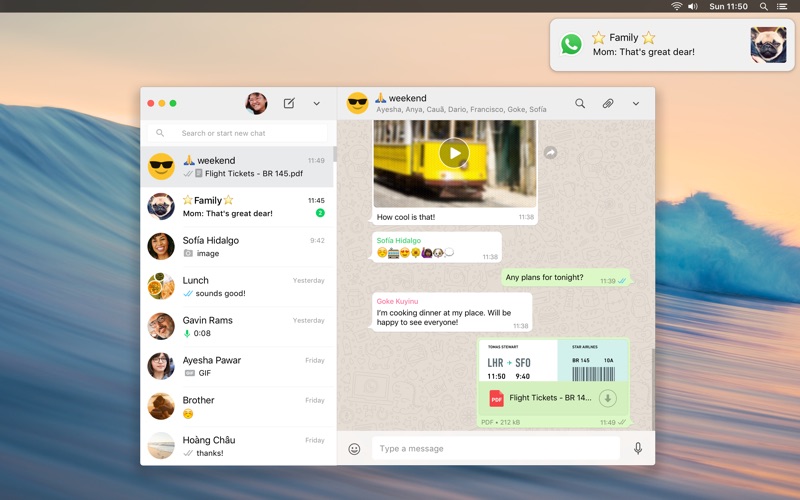 whatsapp下载2023-whatsapp下载2023最新