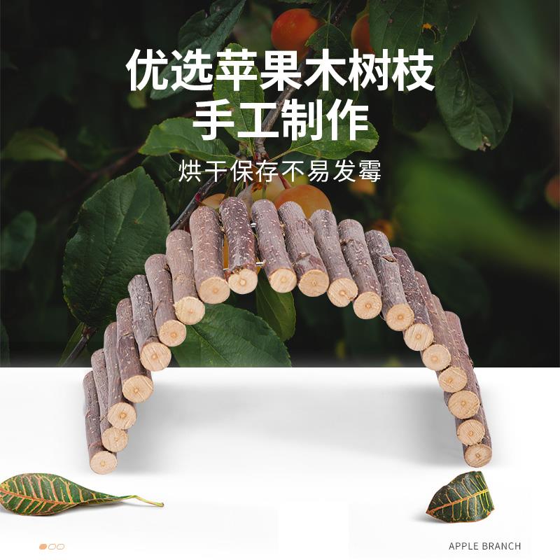 苹果手机免费的梯子-苹果手机上免费的梯子