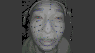 facegood梯子-faceapp挂梯子是什么意思