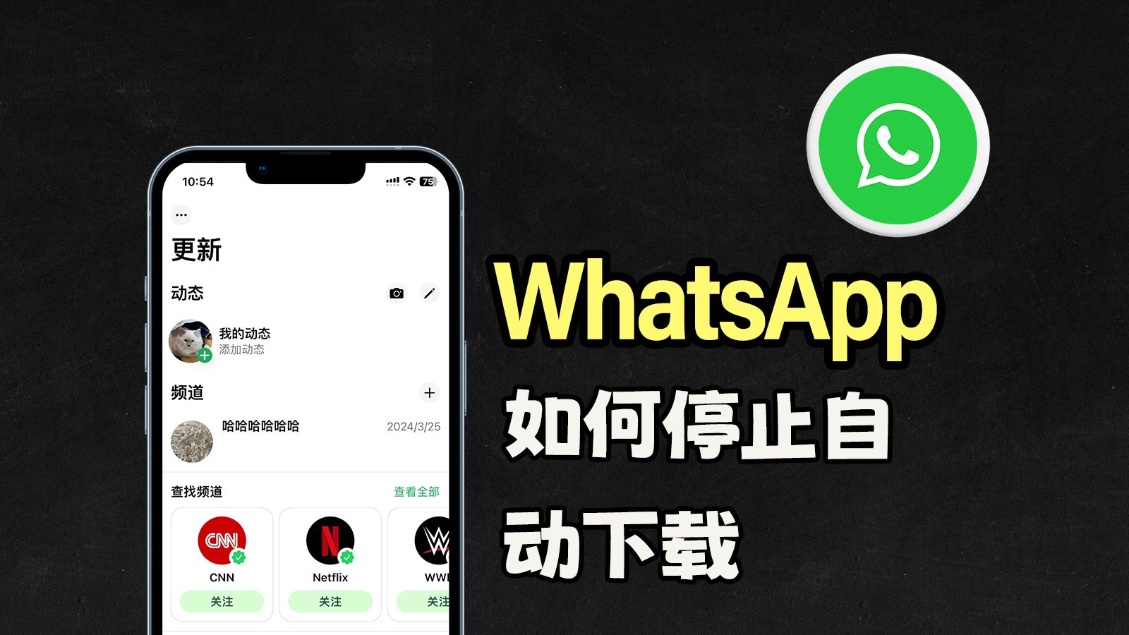 whatsapp官网免费下载最新版-whatsapp官方网下载最新版2021