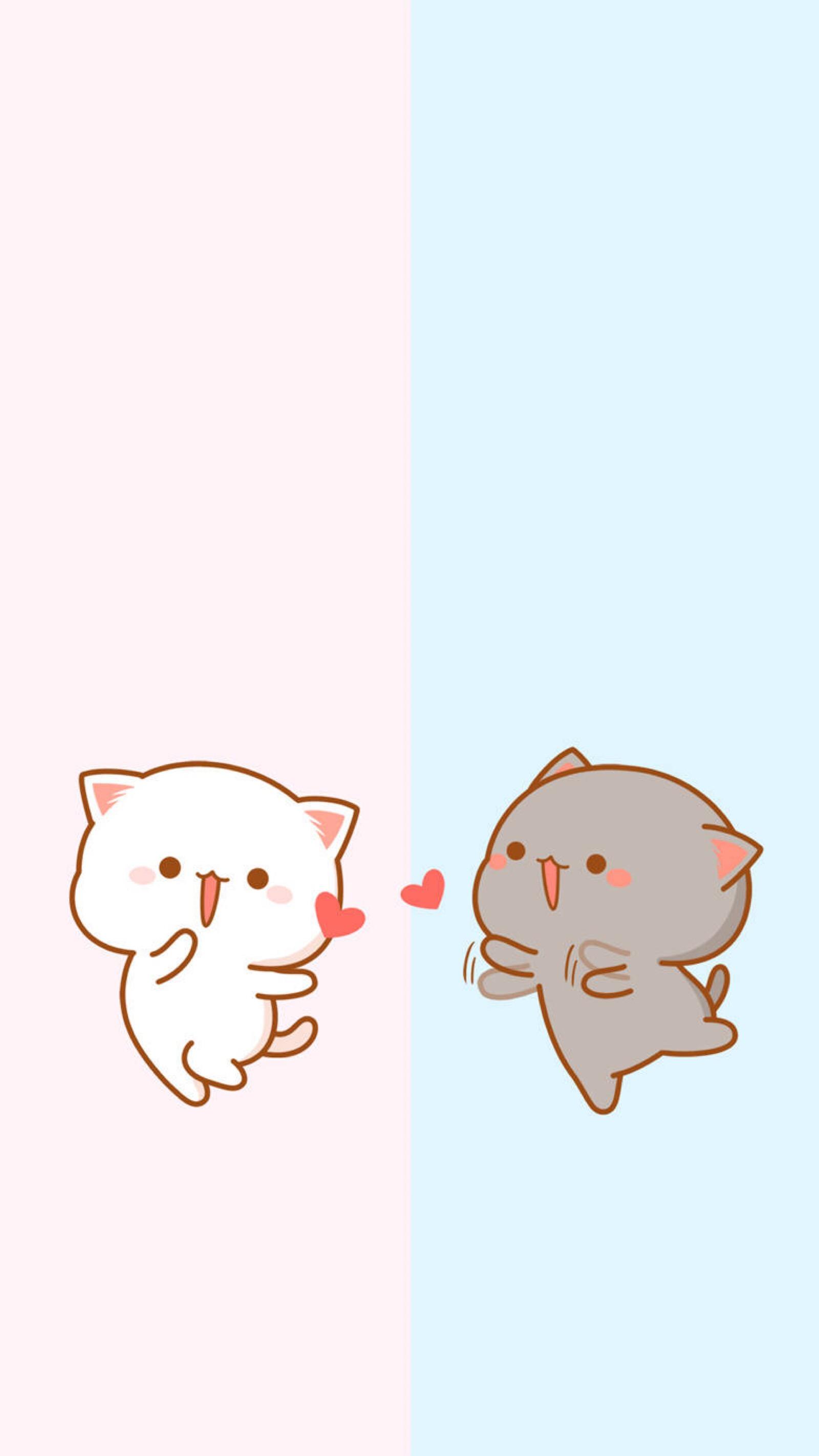 密聊猫最新版本-密聊猫app官方下载安装最新版