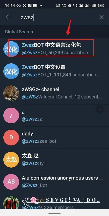 飞机怎么调成中文版-飞机中文版本怎么设置