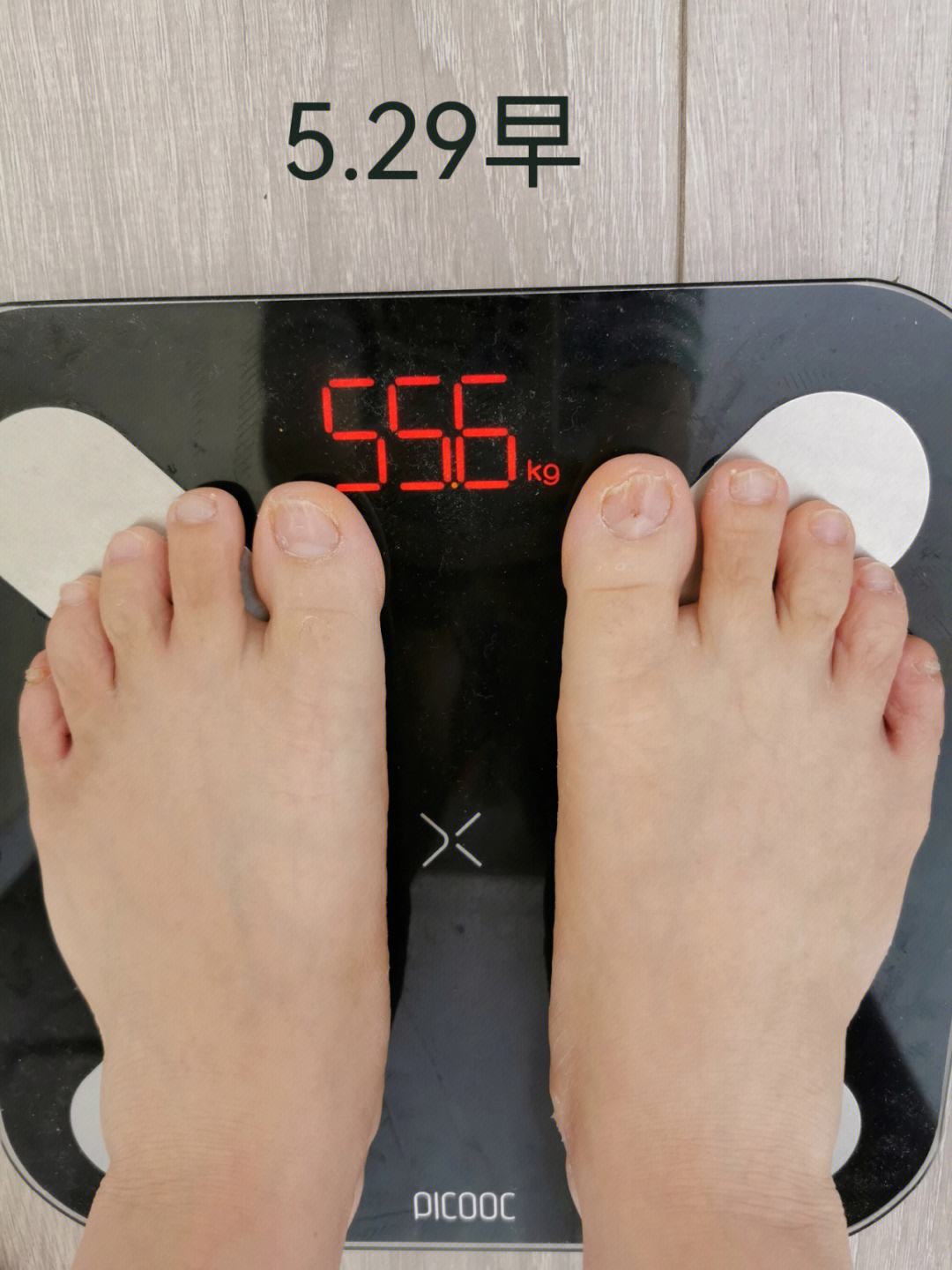 梯子2.2.19-梯子app加速器推荐