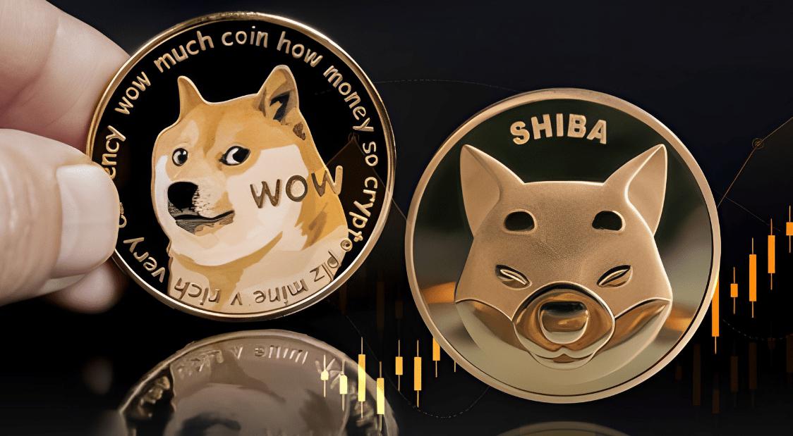 模因币什么意思-模因币是什么意思