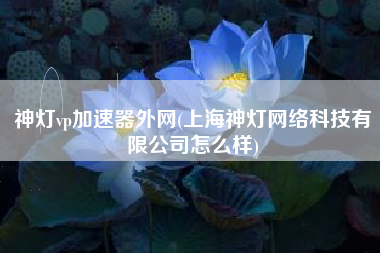 猎豹vp加速器官网-猎豹加速器官网登录入口