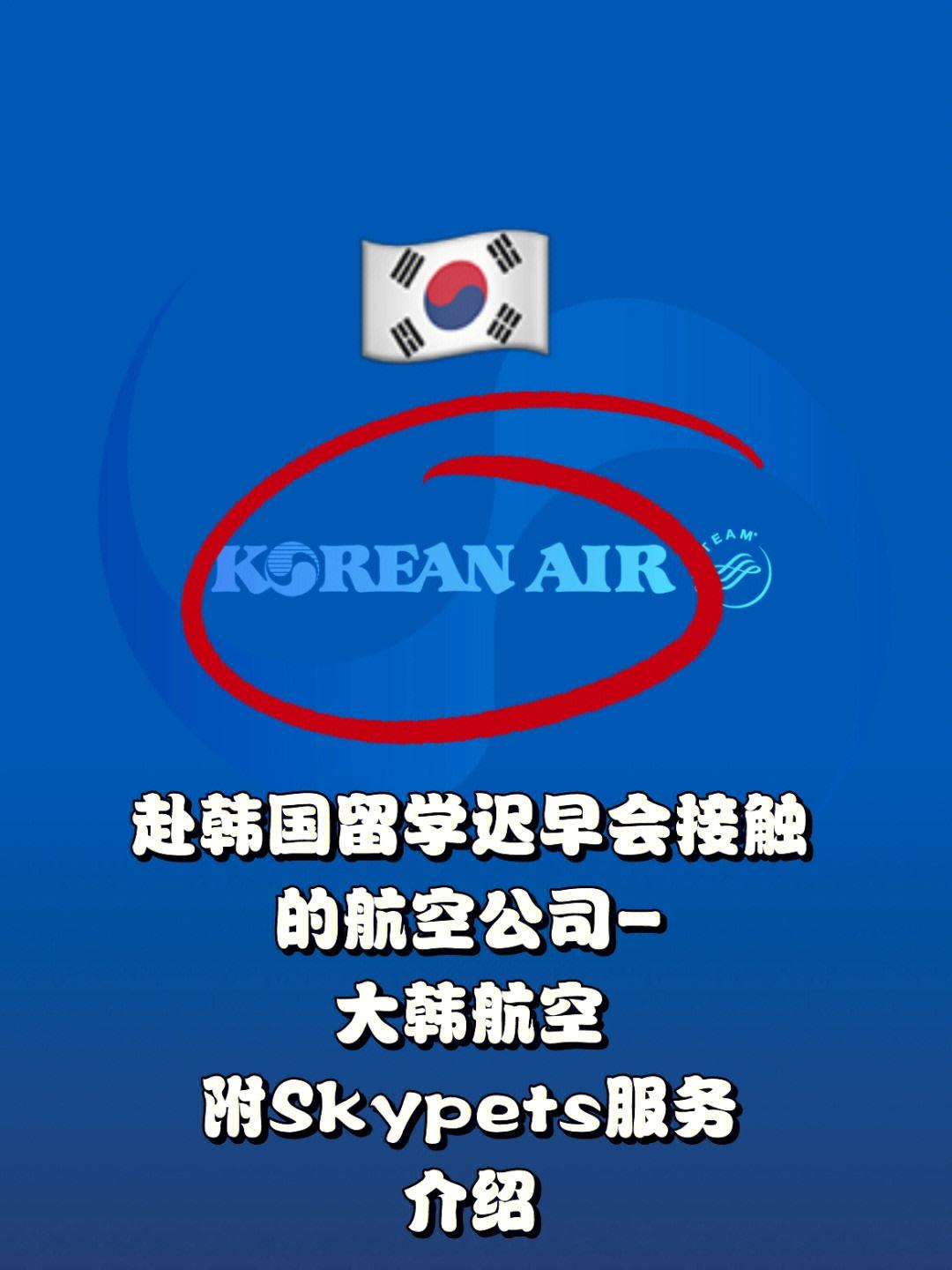 Skype官方下载-skype官方下载安卓版