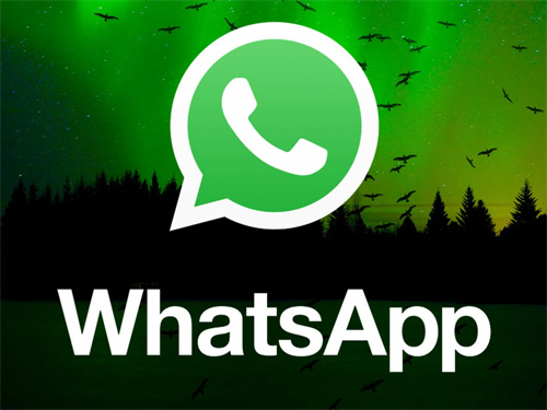 whatsapp最新版本下载2024-whatsapp最新版本下载2024苹果手机