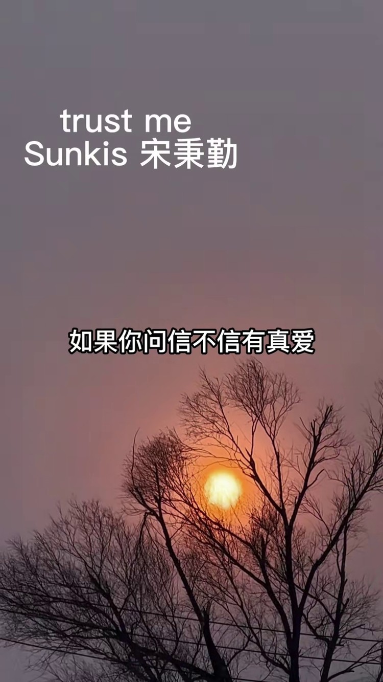 trustme免费下载-trustaccess下载