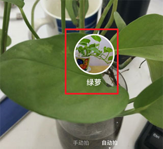 苹果手机app安装下载百度-苹果软件在百度上下载后怎么安装?