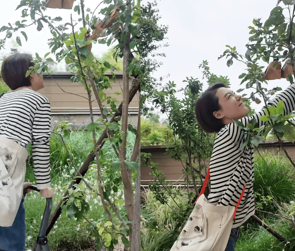 苹果免费梯子2023-苹果免费梯子的方法苹果手机免费梯子教程  telege